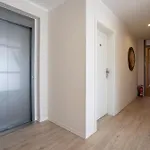 Solaris 17 Mit Balkon, Hundefreundlich Und Strandnah * Grömitz